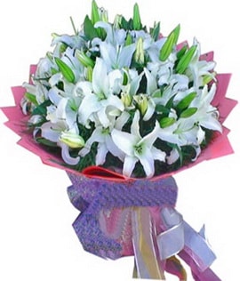 9 dal cazablanca g�rsel buketi